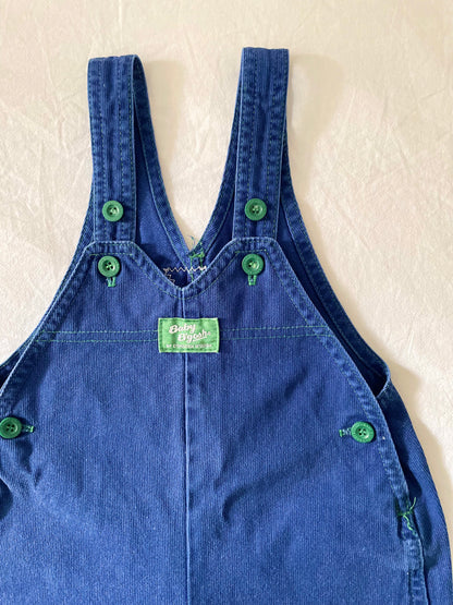 Vintage OshKosh Preserve The Rainforest Shortalls
