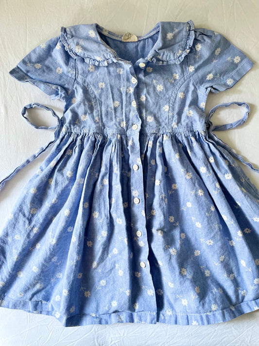 Vintage Daisy Dress